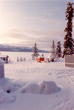 Yukon Winter Scene
