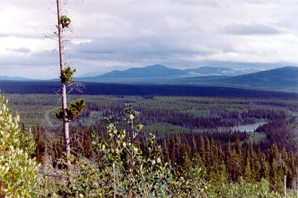 Southern Yukon Backcountry